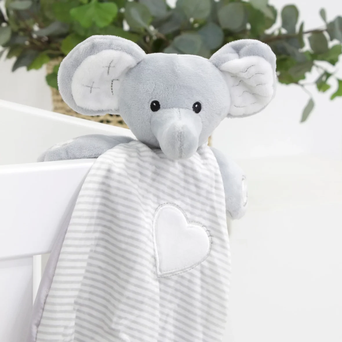 4elephantlifestyle3-scaled-1.webp